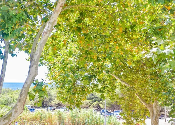 & Business By The Portuguese Butler